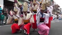 Japanese Traditional Arts AWA DANCE