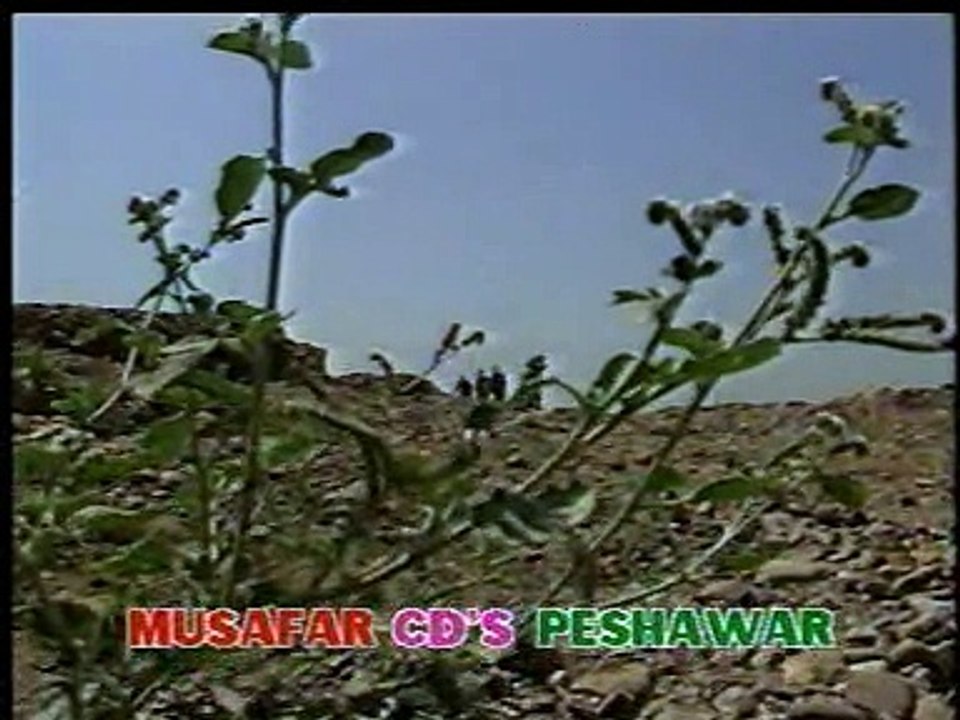 Pashto Drama - Sal Pa Laali Pore (Part 14 Of 17)