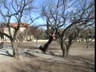 Parkour Rural & Urbain