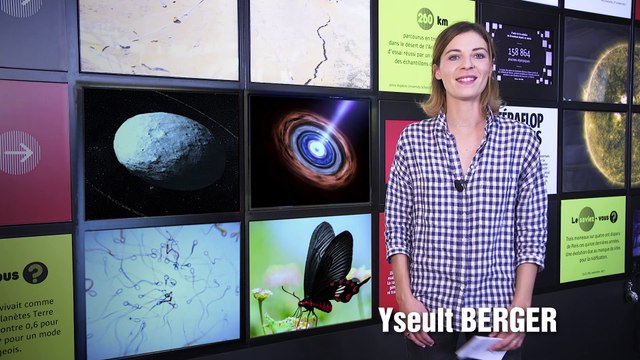 Vortex spatial