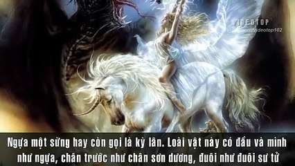 Top 4 Lần Sinh Vật Truyền Thuyết Ngựa Một Sừng Bị Camera Ghi Lại