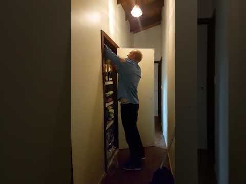 Queensland Catcher Pulls Tree Snake From Cupboard