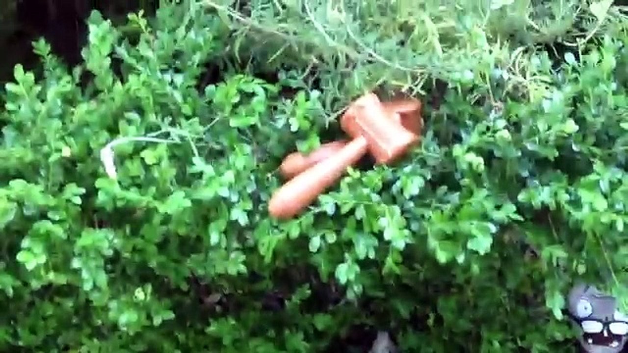 Plants vs Zombies Plush: The Zombies Attack