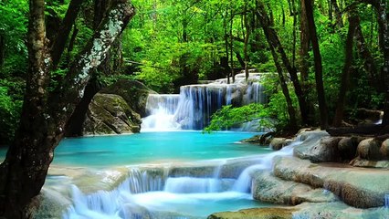 Guided Christian Meditation: Live in the Light of Christ