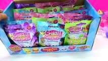 Crystal Babies Surprise Baby Pets Blind Bags Box Unboxing - Cookieswirlc Videos