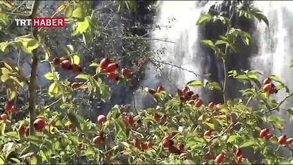 Erzurum'da kış hazırlığı