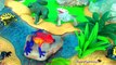 Kids Toys Gila Monster Frill-Necked Lizard Bearded & Komodo Dragon Learn about LIZARDS in English