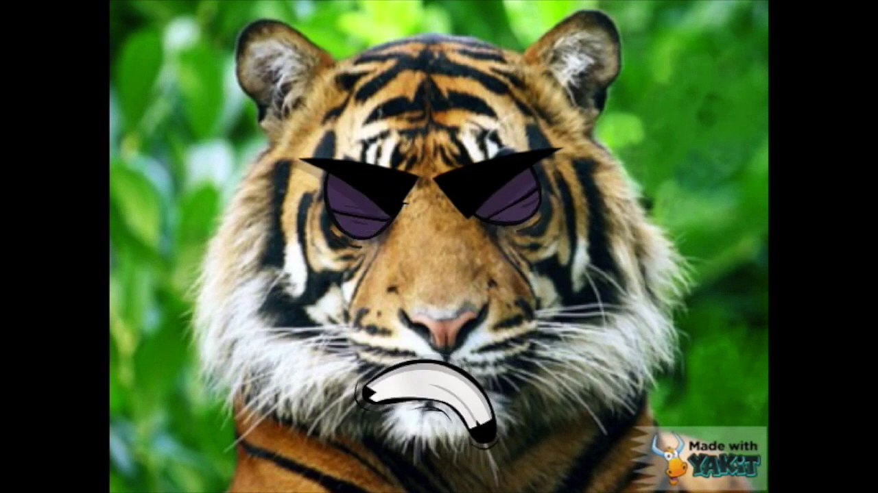 Learning About Herbivores, Carnivores, and Omnivores