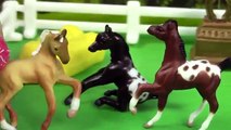 Breyer Horse Movie Video Series - Back Together Part 1 - Friends Mini Whinnies Horses