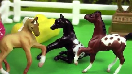 Breyer Horse Movie Video Series - Back Together Part 1 - Friends Mini Whinnies Horses