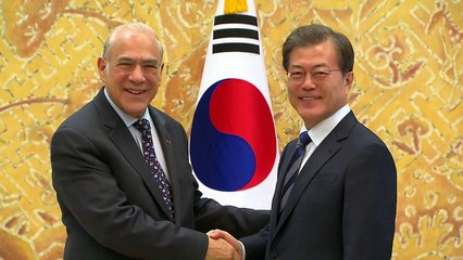 문재인 대통령 "양극화 문제 해결 최우선...OECD와 협력" / YTN