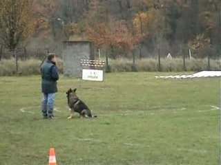 Championnat Ring Franche Comté Ulko Part-01