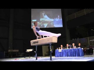 Allan Bower - Pommel Horse - 2012 Winter Cup Prelims