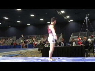 Peter Daggett - Vault - 2017 Winter Cup Prelims