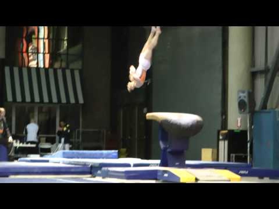 David Sender - Vault - 2012 Winter Cup Prelims