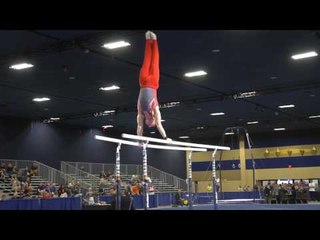 Brett Miller - Parallel Bars - 2017 Winter Cup Prelims