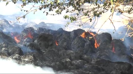 Şanlıurfa'da Çıkan Yangında Tonlarca Saman Kül Oldu