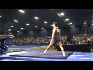 Cecilio Garcia - Vault - 2017 Winter Cup Prelims