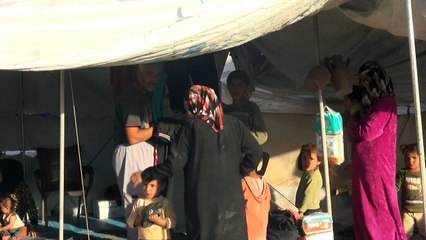 Des déplacés de Raqa réagissent à la "libération" de leur ville