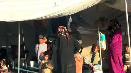 Des déplacés de Raqa réagissent à la "libération" de leur ville