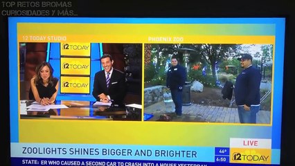 Top Mejores Fails y Momentos Embarazosos en Televisión Recopilación #67