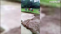Crocodile Chases Away Villagers After Getting Stuck In Paddy Field