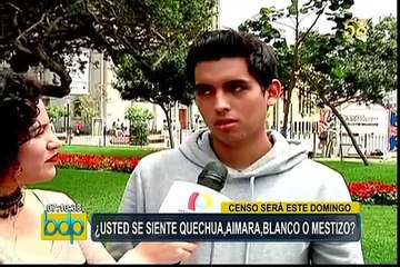 ¿Qué piensan los peruanos de la pregunta sobre origen étnico?