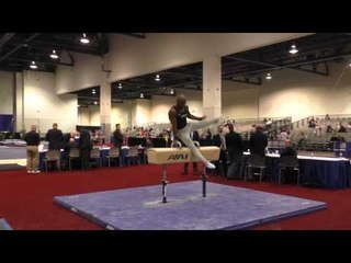 John Orozco - Pommel Horse - 2016 Winter Cup Prelims
