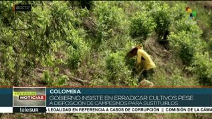 Download Video: Colombia: campesinos, entre violencia criminal y represión del Estado