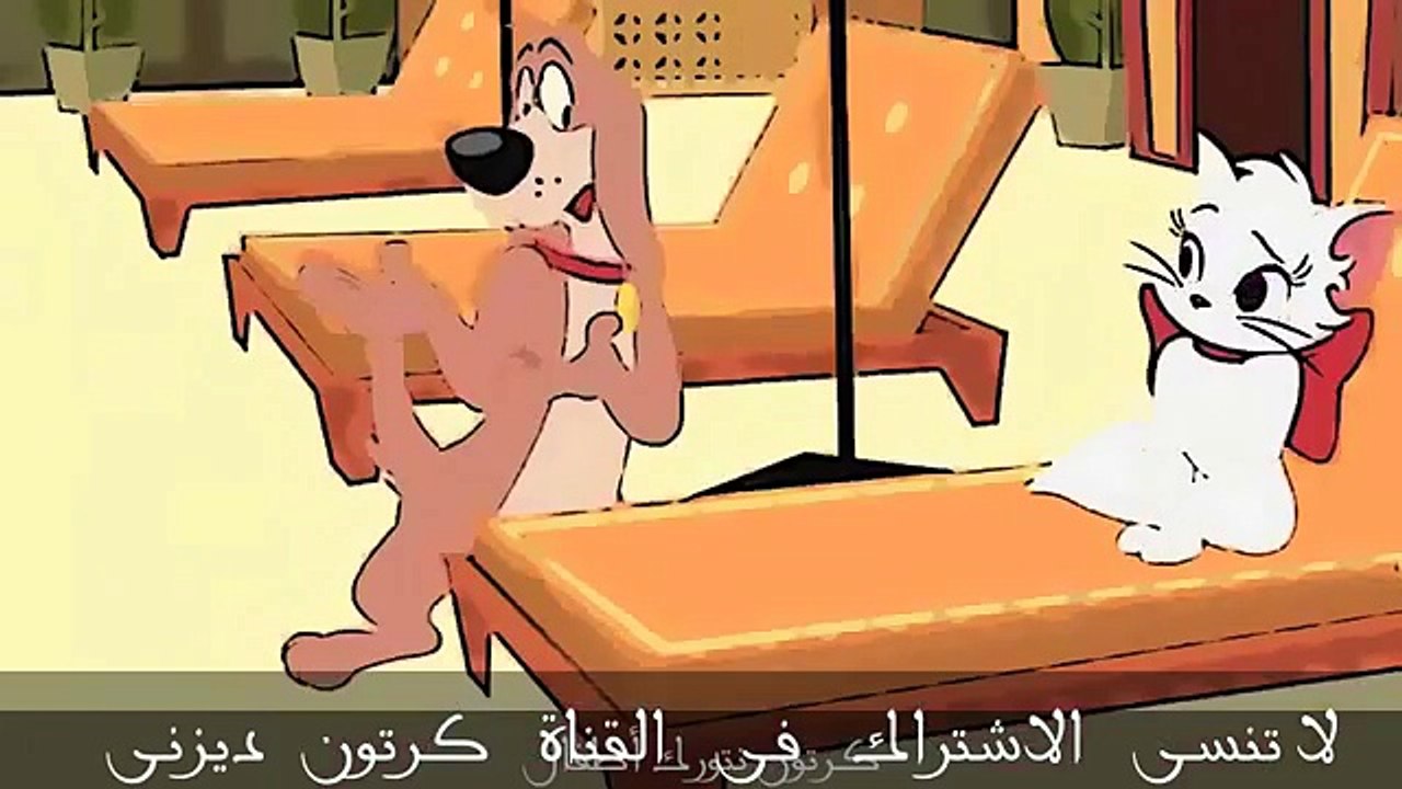 توم و جيرى - جديد 2017   TOM AND JERRY