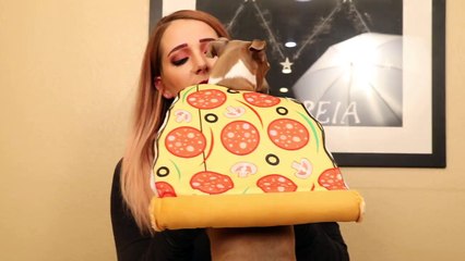 My Dogs Try On Halloween Costumes