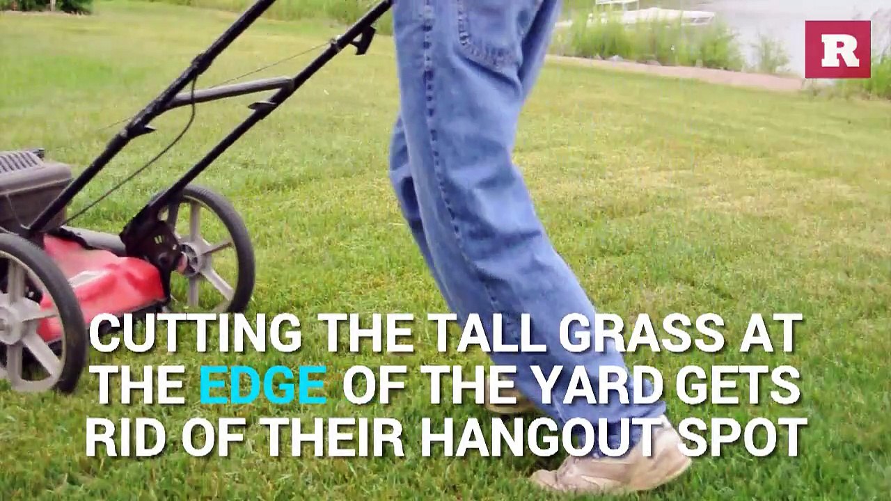 Keeping ticks away from your home | Rare Life