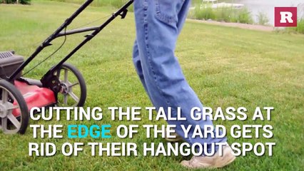 Keeping ticks away from your home | Rare Life