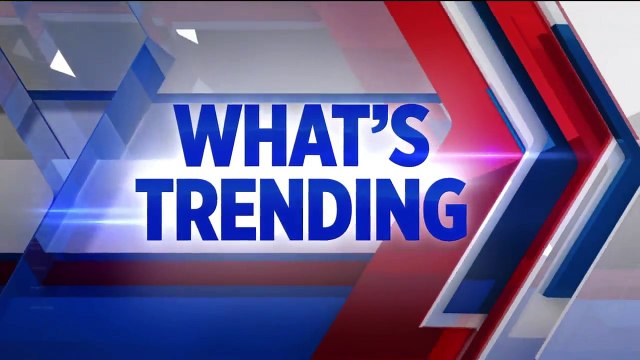 ‘Jeopardy!’ Contestant Loses Nearly Everything, Wins With Just $1