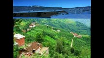 Araklı Köprüüstü Köyü