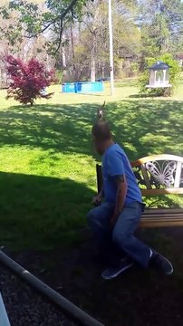 Un chien ne reconnait son ancien maitre que lorsqu'il le sent