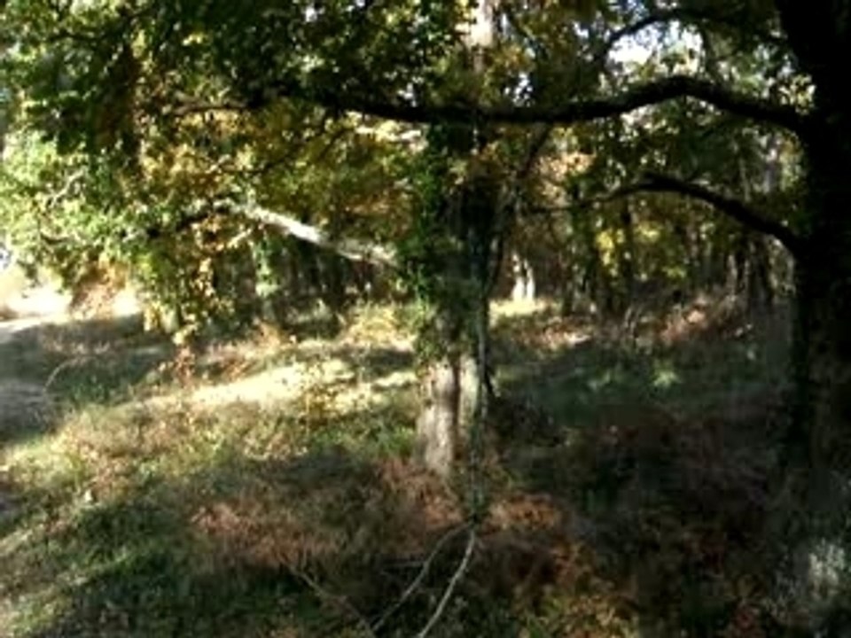 Video 6
