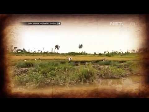 Todays History 12 Desember Hari Transmigrasi Nasional - IMS