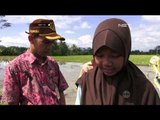 Celana Petani Karya 3 Siswi SMP di Magelang, Jawa Tengah - NET12