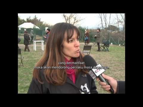 Universitas khusus anjing di Italia - NET5