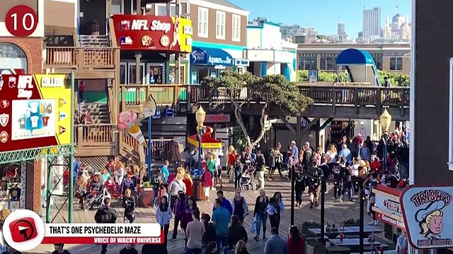 WEIRD Tourist Attractions You Should Visit in the US