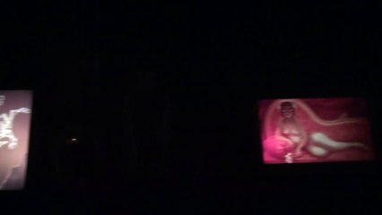 DLP　Phantom Manor　ファントム・マナー（パリ版ホンテ）