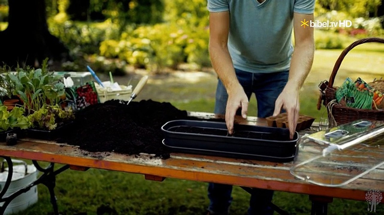 Gartenkult - der gemüsegarten