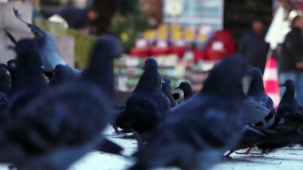 Cem Ulu - Dünya
