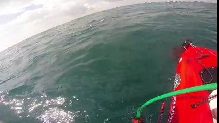 Jim Gets Eaten Alive By Shark