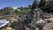 Giant sculptures adorn iconic Australian beach in annual event