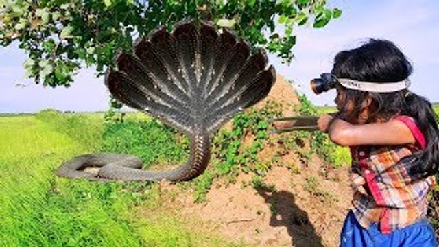 Heart -Touching!! Poor Asian Kids Catch Very Big Snakes To Survive
