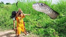Terrifying!! Two Little Sisters Fearlessly Catch Big Snake While Cutting Grass