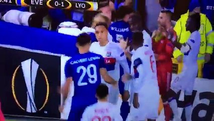 Son enfant dans les bras, un supporter d'Everton frappe des joueurs de Lyon !