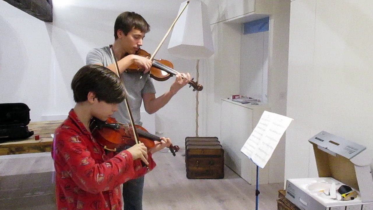 Violon